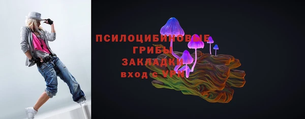 соль ск Балахна