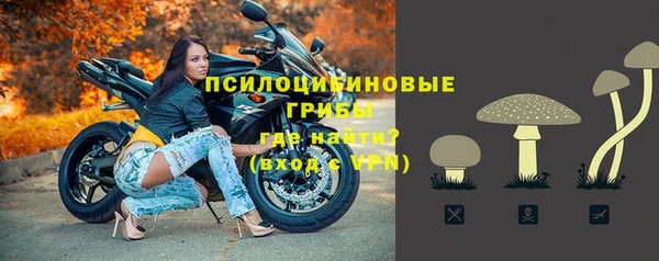 соль ск Балахна